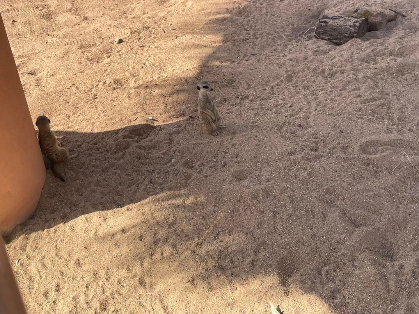 Dubbo Zoo 2025 Image -67de04693f1cb